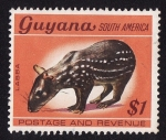 Sellos de America - Guyana -  