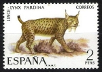 Sellos de Europa - Espaa -  Fauna hispánica. Lince.