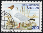 Sellos del Mundo : Asia : Tajikistan : Fauna