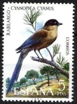 Stamps Spain -  Fauna hispánica. Rabilargo.