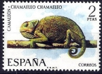 Sellos de Europa - Espaa -  Fauna hispánica. Camaleón.