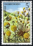 Sellos de Europa - Espaa -  Flora. Anthyllis onobrychioides.