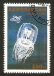 Stamps Azerbaijan -  medusas, polyorchis karafutoensis