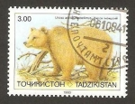 Sellos del Mundo : Asia : Tajikistan : fauna, ursus arctos isabellinus