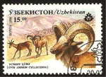 Stamps Uzbekistan -  ovis ammon cycloceros