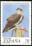 Stamps Europe - Spain -  ESPAÑA 1999 3615 Sello Nuevo Fauna Española en Peligro de Extincion Aguila Pescadora