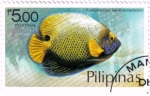 Stamps Philippines -  Pez ángel azul de cara