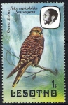 Stamps Lesotho -  Aves. Halcón. Falco rupicoloides Seotsanyana.