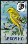 Stamps Africa - Lesotho -  Aves. Canario amarillo. Crithagra flaviventris Tsoere.