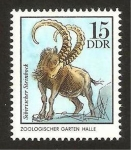 Stamps Germany -  steinbock siberiano