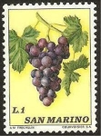 Stamps San Marino -  Racimo de uvas