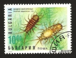 Sellos del Mundo : Europe : Bulgaria : fauna marina