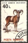 Sellos del Mundo : Europe : Romania : 4099 - fauna, muflon europeo