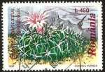 Sellos de Europa - Rumania -  flora, echinofossulocactus lamellosus