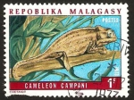 Stamps Madagascar -  camaleon