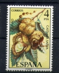 Stamps Spain -  Castaña Sativa