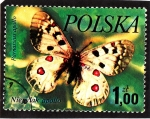 Sellos de Europa - Polonia -  Mariposas