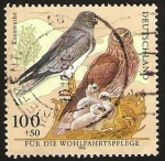 Stamps Germany -  aves amenazadas de extincion,  circus cyaneus