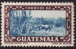 Sellos de America - Guatemala -  Caña de azúcar