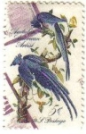 Sellos de America - Estados Unidos -  USA 1963 Scott 1241 Sello Columbia Jays Pajaros Usado