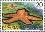 Sellos de Europa - Espaa -  ESPAÑA 1979 2534 Sello Nuevo Fauna Invertebrados Estrella de Mar 20p