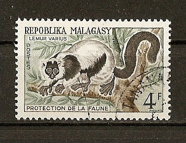 Lemur Varius.