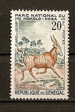 Eland de Derby.