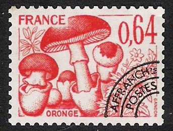 SETAS-HONGOS: 1.149.011,00-Amanita caesarea