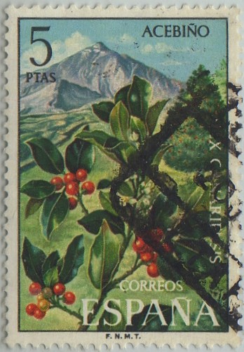 Flora-acebiño-1973