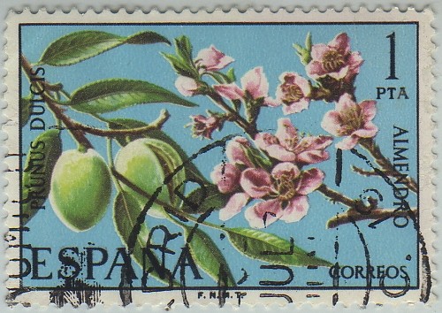 flora-Almendro-1975