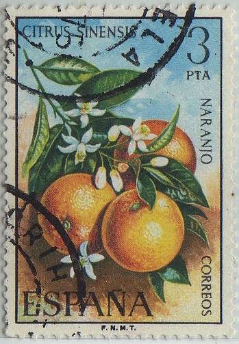 flora-naranjo-1975