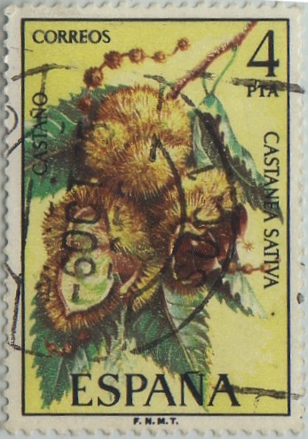 flora-Castaño-1975