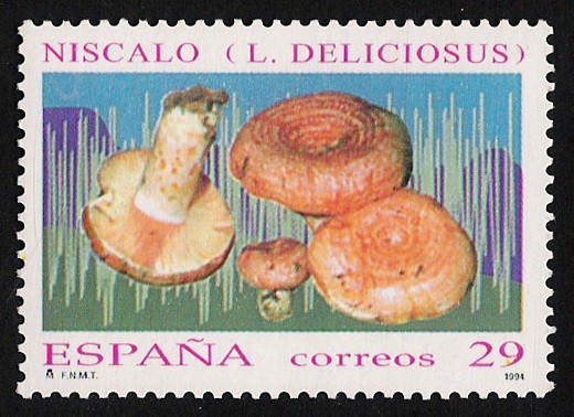 SETAS-HONGOS: 1.232.014,00-Lactarius deliciosus