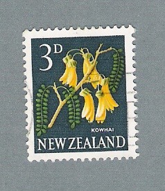 Kowhai