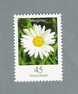 Margarite