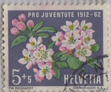 pro juventud-1912-1962