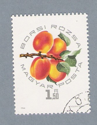 Fruta