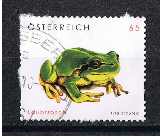 Laubfrosch  