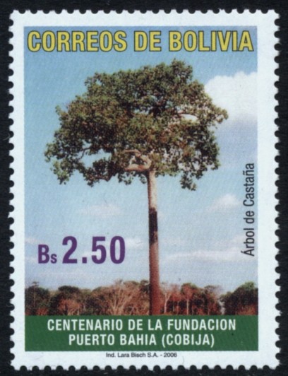 Centenario de la Fundacion Puerto Bahia - Cobija 1906 - 2006