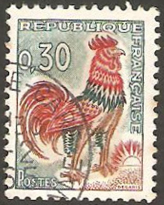 gallo de decaris