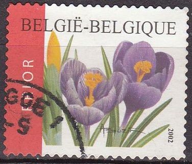 BELGICA 2002 Scott 1937 Sello Flores Crocuses Usado Michel 3191