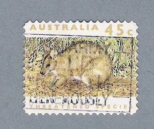 Marsupial