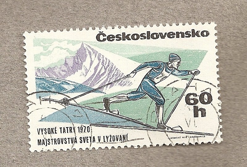 Ski de travesía