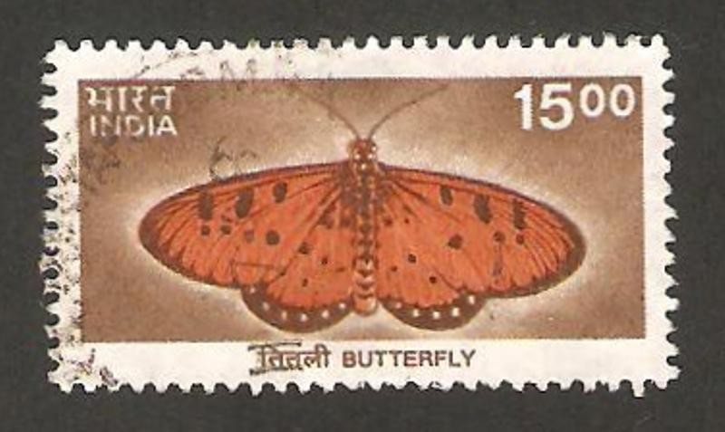 una mariposa