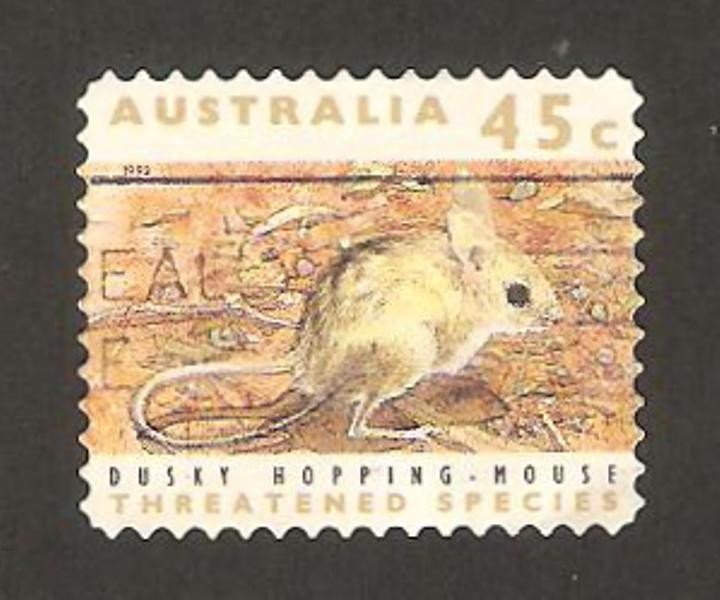 dusky hopping - mouse, oscuro salto de ratón