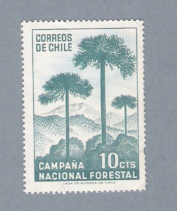 Campaña nacional forestal