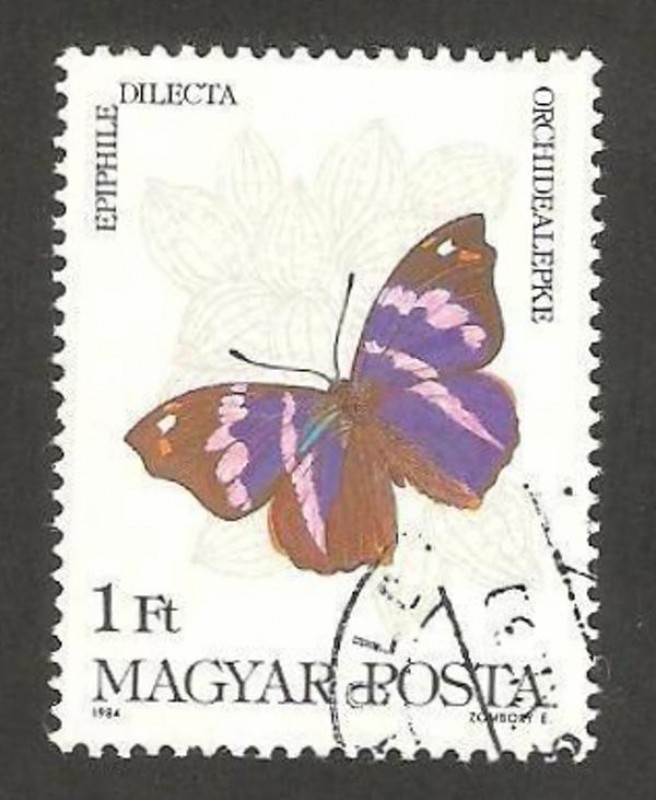 2911 - Mariposa epiphile dilecta