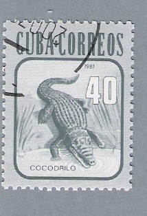 Cocodrilo