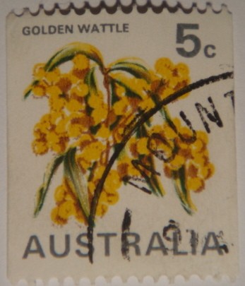 Golden Wattle