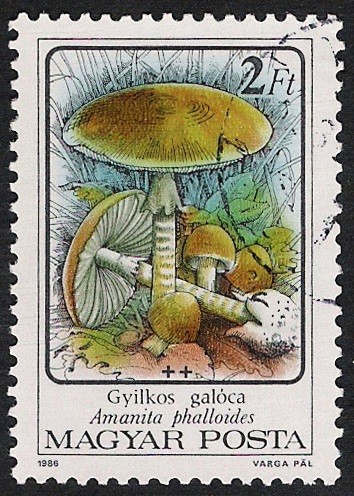 SETAS-HONGOS: 1.164.011,03-Amanita phalloides -Phil.47542-Dm.986.72-Y&T.3081-Mch.3871-Sc.3046